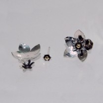 Oorstekers zilver combinatie 2